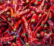 Dry Red Chilli